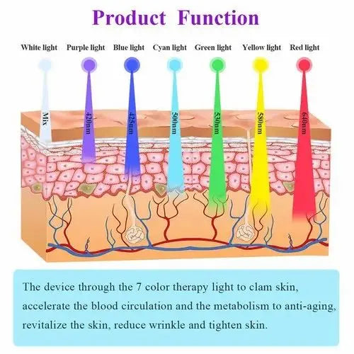 a diagram of a skin with different types of hair